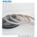 DC12V / DC24V 5050 RGBW SMD LED Strip Light imperméables à l&#39;eau